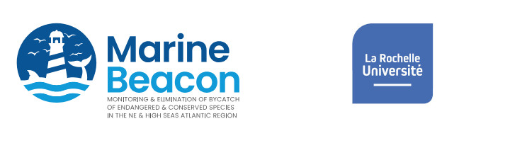 Marine Beacon and La-Rochelle Univercity